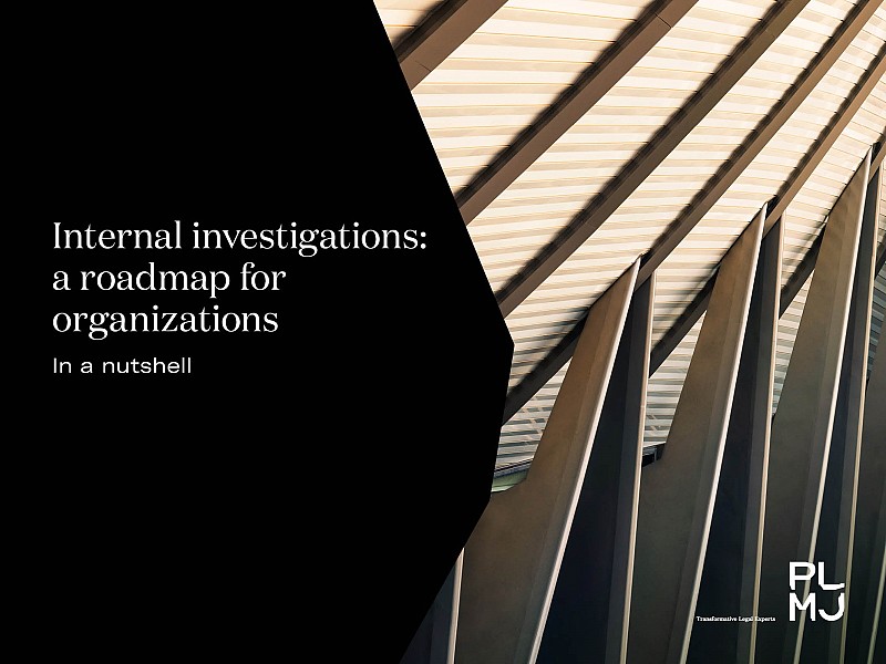 Internal investigations: in a nutshell